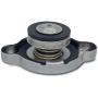 Radiator Cap Assembly compatible with Nissan 21430-1P111 21430-D995A 31336 16401-67150