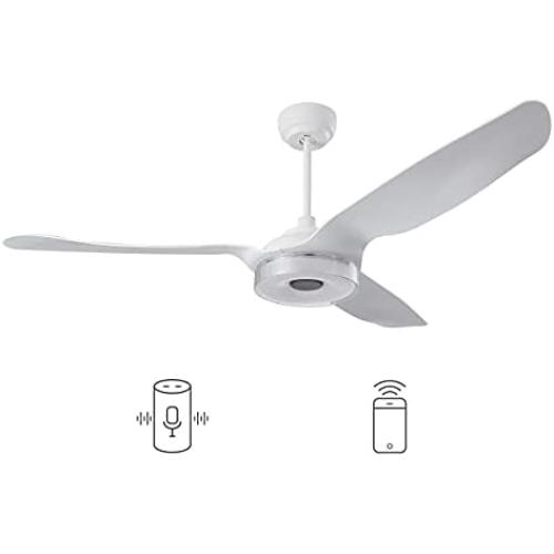 Carro Indoor/Outdoor Smart ceiling fan 56