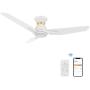 Smart Ceiling Fan with Light, Indoor/Outdoor Ceiling Fan, Compatible with DC Motor,10-speed,8 Hours Timer, Works with Remote Control/Alexa/Google Home/Siri,Schedule (52