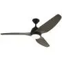 Nocolliny Modern Ceiling Fan 52