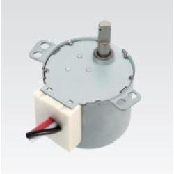 Synchronous Motor 220 VAC 6 Poles Controlled (50SM40-170S)