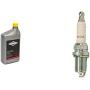 Briggs & Stratton SAE 5W-30 Synthetic Small Engine Motor Oil - 32 Oz. 100074 & Champion Copper Plus 71 Spark Plug (Carton of 1) - RC12YC