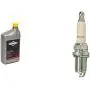 Briggs & Stratton SAE 5W-30 Synthetic Small Engine Motor Oil - 32 Oz. 100074 & Champion Copper Plus 71 Spark Plug (Carton of 1) - RC12YC Briggs & Stratton SAE 5W-30 Synthetic Small Engine Motor Oil - 32 Oz. 100074 & Champion Copper Plus 71 Spark Plug (Carton of 1) - RC12YC