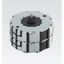 Synchronous Motor 24 VAC 6 Poles Controlled