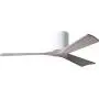 Matthews IR3H-WH-BW-52 Irene Indoor/Outdoor Damp Location 52