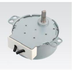 Synchronous motor 220 VAC 4 Poles Free (50SM21-16B)