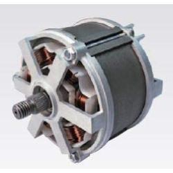 Switched reluctance BLDC motor (4/2 pole 220V 34000 rpm)
