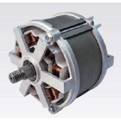 Switched reluctance BLDC motor (4/2 pole 220V 34000 rpm)