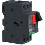 Manual Motor Starter, Button, 2.5-4A, 1P