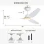 Ovlaim 56 Inch Smart Wifi Alexa Ceiling Fan with Light Remote Control, 6 Speed Quiet DC Motor Ceiling Fan Indoor Outdoor for Living Room Bedroom Veranda, White Gold