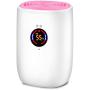 NUOPAIPLUS Small Household Dehumidifier, 800ml Powerful Dehumidifiers Portable Electric Dehumidifiers for Damp Auto-Off Defrost Mute Design Air Dryer with Water Pipe (Color : 2)