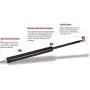 2Pcs 25 Inch Rear Back liftgate tailgate Hatch trunk Struts Lift Supports Fits 2014-2016 Cherokee without Power Liftgate - Shock Gas Spring Prop Rod