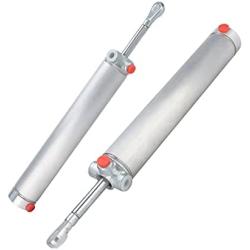 Convertible Top Hydraulic Cylinders Lift Arms Replacement for 1999 2000 2001 2002 2003 2004 Ford Mustang & Cobra, Cylinder Arm Pair Replaces# XR3Z-7650600-A