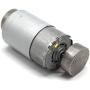 BestTong DC 12V-24V 6000RPM 555 Brushed Vibration Motor DOUBLE-HEAD High Torque Electric Vibrating Motors with 2 Iron Rotating Mass