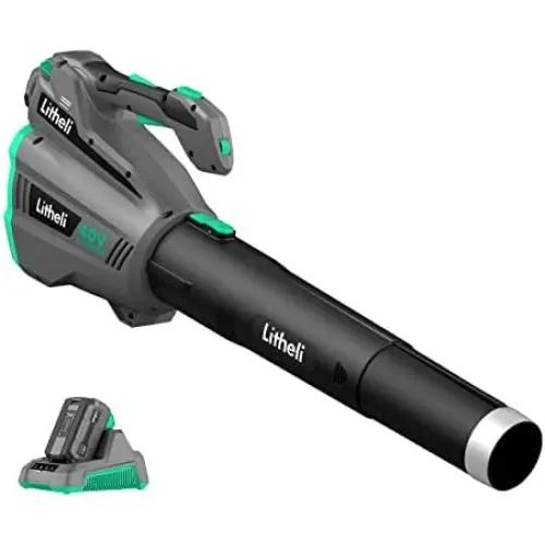 Litheli Cordless Leaf Blower 40V, Battery Leaf Blowers for Lawn Care, with Brushless Motor, Axial Blower for Blowing Leaf, Dust, Snow, Debris, with 2.5Ah Battery & Charger Included, Black