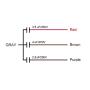 uxcell Ceiling Fan Capacitor CBB61 3.5/4/2.5uF 250V AC 4 Wires Metallized Polypropylene Film Capacitor 47x34x22mm for Electric Fan Pump Motor Generator 3Pcs