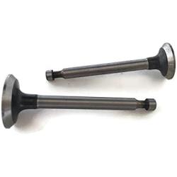 Replacement Intake & Exhaust Valve Valves In Ex 14711-ZE0-010 000 14721-ZE0-000 810 for Honda GX110 GXV120 4HP Lawn Mower Trimmer Motor Engine