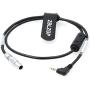 ZBLZGP Nucleus-M Motor Run Stop Cable LANC 2.5mm to 0B 7 Pin Male for Panasonic GH4 GH5 Camera