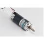 10-600 RPM Adjustable Motor DC12/24V Planetary DC Gear Motor 47.75kg.cm (24V, 300 RPM)