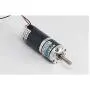 10-600 RPM Adjustable Motor DC12/24V Planetary DC Gear Motor 47.75kg.cm (12V, 100 RPM)