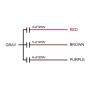 uxcell Ceiling Fan Capacitor CBB61 4/5/6uF 250V AC 4 Wires Metallized Polypropylene Film Capacitor 48x38x26mm for Electric Fan Pump Motor Generator 3Pcs