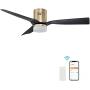 SMAAIR 52 Inch Smart Ceiling Fan with Lights, 10-speed DC Motor Ceiling Fan Works with Remote Control/Alexa/Google Home/Siri Shortcut, Dimmable LED Light (Black/Gold, New)