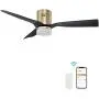 SMAAIR 52 Inch Smart Ceiling Fan with Lights, 10-speed DC Motor Ceiling Fan Works with Remote Control/Alexa/Google Home/Siri Shortcut, Dimmable LED Light (Black/Gold, New)