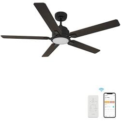 Smart Ceiling Fan with Lights, Indoor & Outdoor Ceiling Fan with Remote, 10 Speeds Smart Ceiling Fan Compatible with Alexa, Siri & Google, 52 Inch Modern Ceiling Fan with DC Motor, Black Ceiling Fan