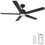 Smart Ceiling Fan with Lights, Indoor & Outdoor Ceiling Fan with Remote, 10 Speeds Smart Ceiling Fan Compatible with Alexa, Siri & Google, 52 Inch Modern Ceiling Fan with DC Motor, Black Ceiling Fan