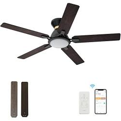 Indoor & Outdoor 52 Inch Ceiling Fan With DC Motor, 10 speeds Ceiling Fan With Dimmable LED Light, Modern Smart Ceiling Fan With Remote, APP, Alexa, Siri & Google Home