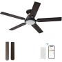 Indoor & Outdoor 52 Inch Ceiling Fan With DC Motor, 10 speeds Ceiling Fan With Dimmable LED Light, Modern Smart Ceiling Fan With Remote, APP, Alexa, Siri & Google Home