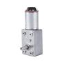 FTVOGUE DC Motor 12V High Torque Worm Geared Motor Reduction Motor with Encoder Srong Self-Locking (100RPM)