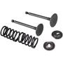 Cancanle Intake Inlet Exhaust Valve Spring Retainer Set for Honda GX340 GX390 11HP 13HP Gas Engine Motor Generator