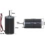 31ZY Permanent Magnet DC Motor Micro Large Torque Motor Forward and Reverse High Speed Motor 12v24v (24VDC,3500)