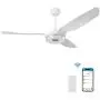 Trifecte 52 Inch Indoor&Outdoor Smart Ceiling Fan with Light and Remote,Wifi Ceiling Fan Compatible with App/Alexa/Google/Siri,Low Profile Ceiling Fan with 10-Speed Reversible Quiet DC Motor