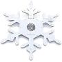 Treedix LED Snowflake Christmas Xmas Light Touch Control 11 Flashing Mode Compatible with Arduino UNO Projects（36 Led Lights））