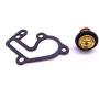 SouthMarine Boat Engine 6E5-12411-00 6E5-12411-02 Thermostat and 682-12414-A1 Gasket for Yamaha 9.9hp 15hp 2-Stroke E9.9B E15B 9.9C Outboard Motor