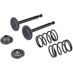 Cancanle Intake Inlet Exhaust Valve Spring Collet Retainer Set for Honda GX160 GX200 168F 170F 5.5-6.5HP Gas Engine Motor Generator Mower