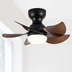 DIDER 24 Flush Mount Ceiling Fan with Lights and Remote Control, 5 Blades, Low Profile Ceiling Fan for Indoor and Outdoor Space