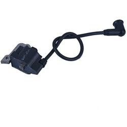 WANWU Ignition Coil Module Parts Compatible with Gas Echo EB650 Engine Motor Cutter Weedeater