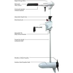 Watersnake Venom 34lb Thrust Electric Motor (Fresh & Saltwater)