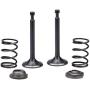 Cancanle Intake Inlet Exhaust Valve Spring Collet Retainer Set for Honda GX160 GX200 168F 170F 5.5-6.5HP Gas Engine Motor Generator Mower