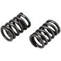 Dokili P7100 Injection Pump 3K/4K Governor Springs for 94-98 Dodge Cummins 12V 5.9L