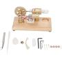 Omabeta Stirling Engine Motor Model, Multi Color LED Stainless Steel Rod Stirling Engine Motor Toy Thickened Glass Gold for Teaching Props