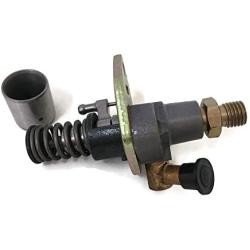 ITACO Fuel Injection Pump Assy Engine for Yanmar L100 Chinese 186F 186 Diesel 714970-51101 6.5MM Diameter Plunger Motor Engine