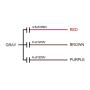 uxcell Ceiling Fan Capacitor CBB61 4.5/6/6uF 250V AC 4 Wires Metallized Polypropylene Film Capacitor 48x38x26mm for Electric Fan Pump Motor Generator