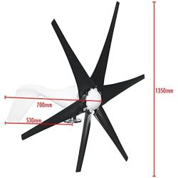 coldwind Wind Turbine Generator + Controller 6 Black Blades Horizontal Windmill Strong Power Powered Electric Aerogenerator Green Energy Generating-Black 48v