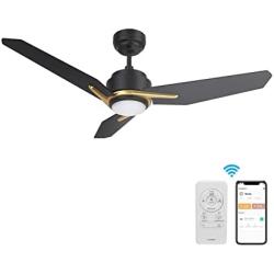 Smart Ceiling Fan with Light, Indoor/Outdoor Ceiling Fan, Compatible with DC Motor,10-speed,8 Hours Timer, Works with Remote Control/Alexa/Google Home/Siri,Schedule (52