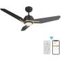Smart Ceiling Fan with Light, Indoor/Outdoor Ceiling Fan, Compatible with DC Motor,10-speed,8 Hours Timer, Works with Remote Control/Alexa/Google Home/Siri,Schedule (52