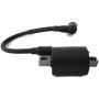 Boat Motor 16064A1 16064A 1 369-06050-2 0M Ignition Coil Assy For Mercury Mariner Quicksilver Outboard 4hp 5hp 2-Stroke Engine